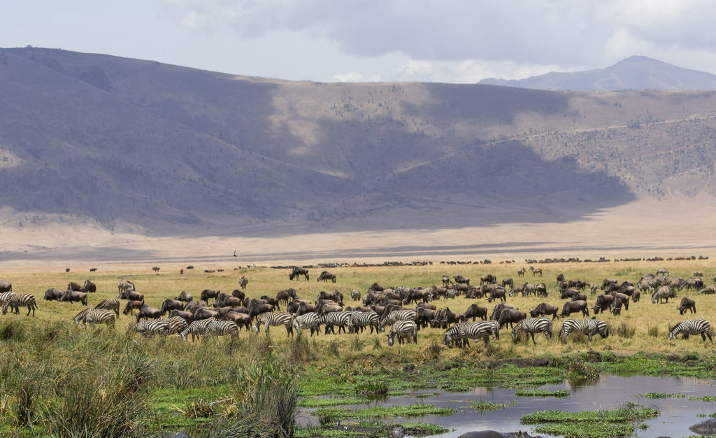 Day-Trip-to-Ngorongoro-Crater